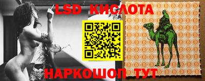 ПСИЛОЦИБИНОВЫЕ ГРИБЫ Ирбит