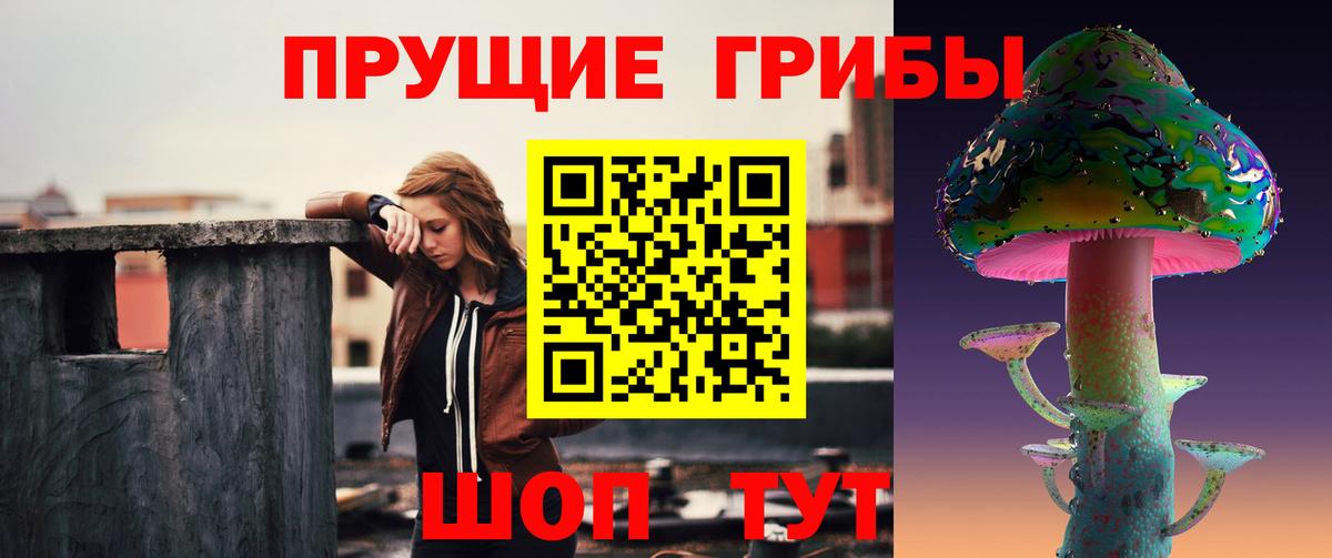 Истра  Псилоцибиновые грибы ЛСД  Вход с VPN 