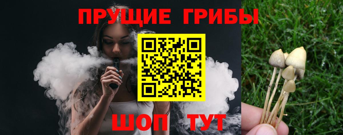 Галлюциногенные грибы мухоморы  Истра 