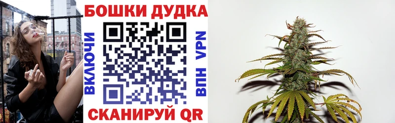 Бошки марихуана ГИДРОПОН  OMG как войти  Истра  как найти закладки 